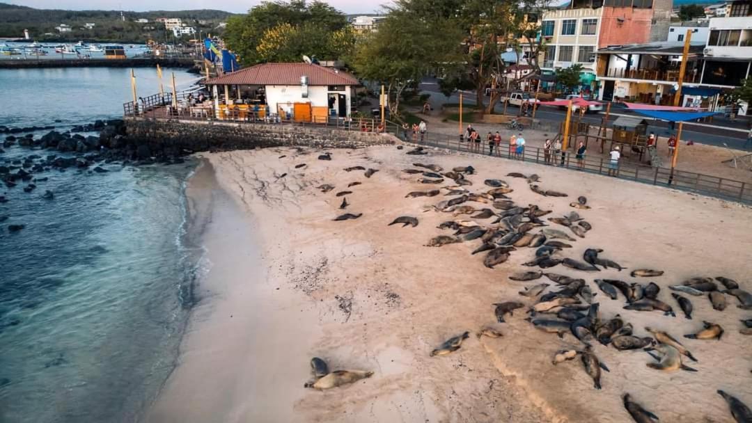 Royal Galapagos Inn Puerto Baquerizo Moreno Dış mekan fotoğraf